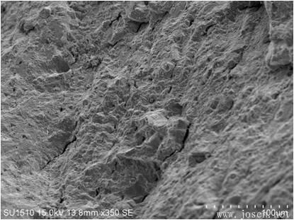 blob:http%3A//m.b2b168 blob:http%3A//m.b2b168