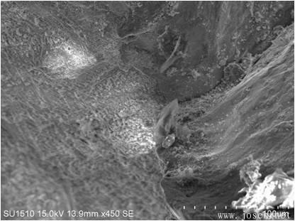 blob:http%3A//m.b2b168 blob:http%3A//m.b2b168