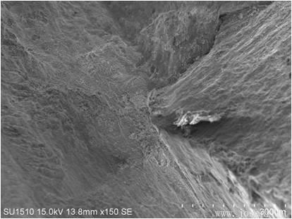 blob:http%3A//m.b2b168 blob:http%3A//m.b2b168