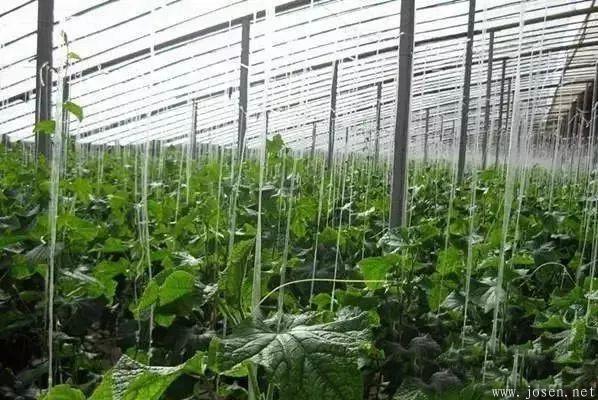 大棚造價(jià)及優(yōu)缺點(diǎn)分析-1.jpg 大棚造價(jià)及優(yōu)缺點(diǎn)分析-1.jpg