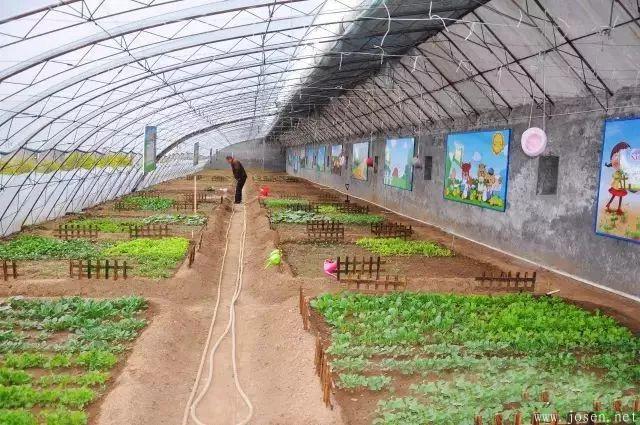 大棚造價(jià)及優(yōu)缺點(diǎn)分析-4.jpg 大棚造價(jià)及優(yōu)缺點(diǎn)分析-4.jpg