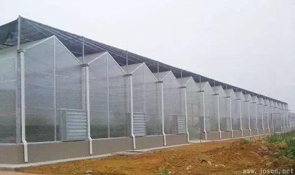 大棚造價(jià)及優(yōu)缺點(diǎn)分析-11.jpg 大棚造價(jià)及優(yōu)缺點(diǎn)分析-11.jpg