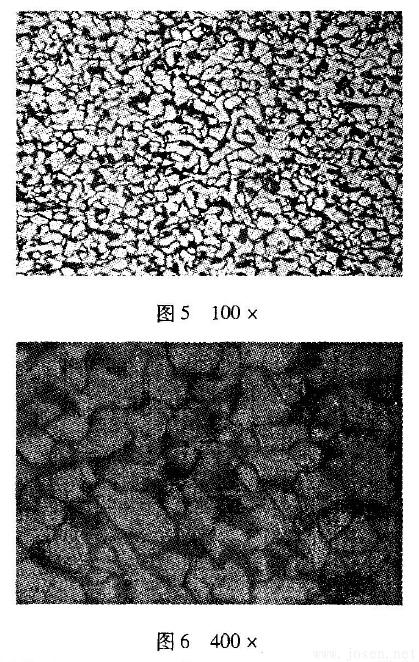 圖5-6顯微組織.jpg 圖5-6顯微組織.jpg