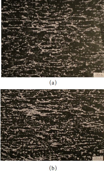 圖2 試樣中的共晶碳化物分布(100×) 圖2 試樣中的共晶碳化物分布(100×)