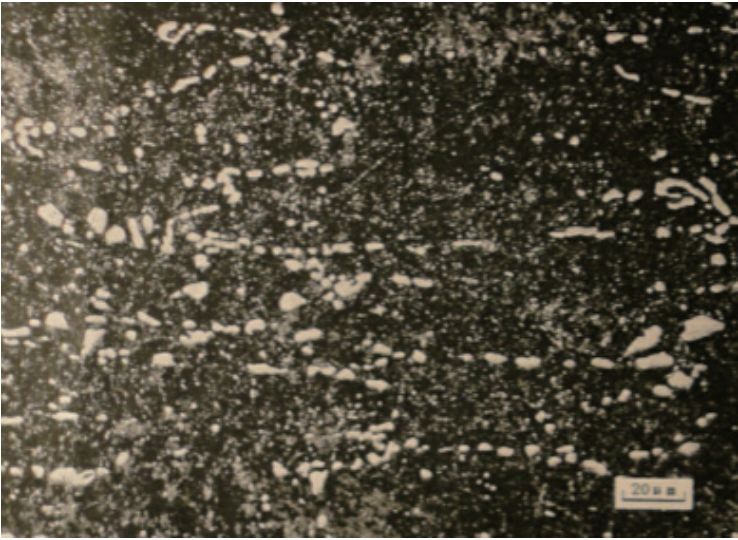 圖3 試樣中基體組織分布(500 ×) 圖3 試樣中基體組織分布(500 ×)