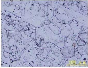 奧氏體不銹鋼金相組織.jpeg 奧氏體不銹鋼金相組織.jpeg