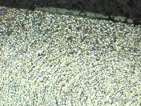 15Cr 冷擠壓 芯部鐵素體呈方向分布 50× 15Cr 冷擠壓 芯部鐵素體呈方向分布 50×