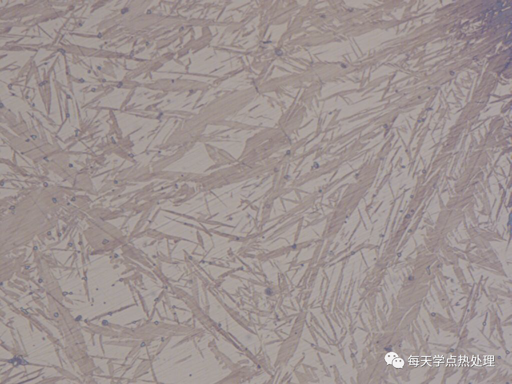 60 鋼 淬火粗大針葉狀馬氏體+奧氏體(白色) 500× 60 鋼 淬火粗大針葉狀馬氏體+奧氏體(白色) 500×